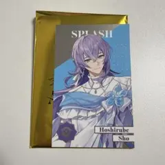 星導ショウ　ランダムメタルカード