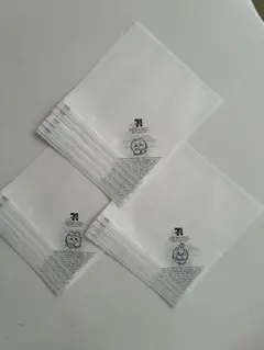 Item thumbnail for item 46ce70db-232a-4b45-9ee1-4f470a37ae82