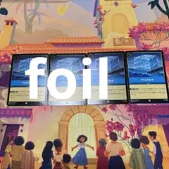 ロルカナ アイスブロック 4枚