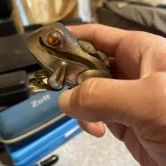 カエルモチーフ ラインストーン装飾 オブジェ カエルモチーフ ラインストーン装飾 オブジェ - メルカリ