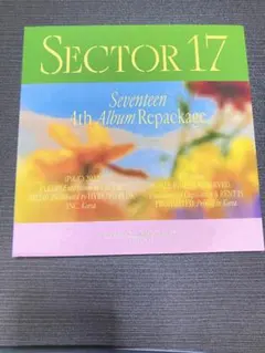 SEVENTEEN SECTOR 17 DINOver.