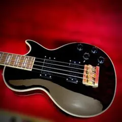 GrassRoots G-AC-45 レスポールシェイプ アコギ - メルカリ