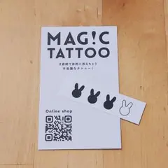 Item thumbnail for item 1c9df697-c6a8-4d29-a6b2-6667df77aca5