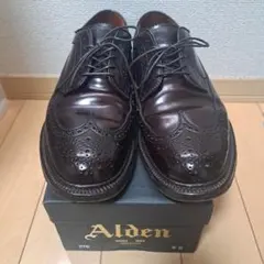 Alden 975 ロングウィングチップ コードバン 9Dのサムネイル