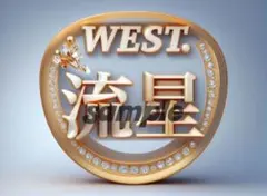 WEST.藤井流星ファンサうちわ2点セット