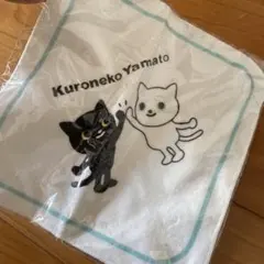 Item thumbnail for item c0a106b5-8c0e-4854-8015-aecb2c5b1eab