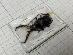 さっぴー様 リクエスト 2点 まとめ商品