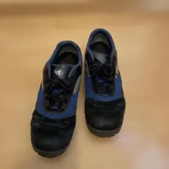 Item thumbnail for item b47a986e-1b42-4968-8e08-f0bfb580a195