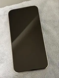 【美品】　iPhone 13 Pro 256GB グラファイト