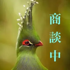 2025年最新】エルメス カレ 故郷に帰るの人気アイテム - メルカリ