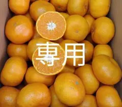 K様専用ページです。