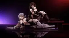 未開封　アズールレーン 瑞鶴 瞬速の真名 & 翔鶴 疾翔の姉羽 ２点セット