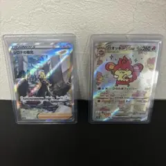 シロナの覇気 & パオッシーVSTAR セット