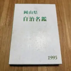 少年隊 king&joker PLAYZONE DVD 1995 - メルカリ