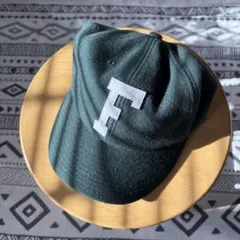 the north face キャップ / TNF ロゴフランネルキャップ