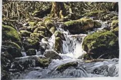 風景画◇小径◇新品 美品【水性絵具/アクリル/色鉛筆】◇防水&丁寧梱包
