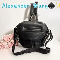 Alexander Wang マルチジップ レザー リュック y2k *118のサムネイル