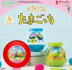 たまごっち　カプセリウム