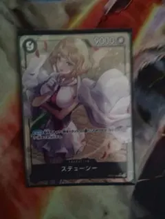 ステューシーパラレル　スチューシー　パラレル