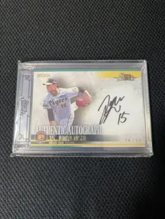 Item thumbnail for item e3733f1c-ffd5-49c2-a707-197329860058