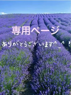 ☆愛蜜☆様　専用ページ