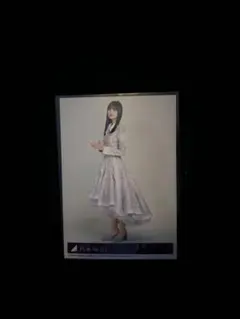 乃木坂46 遠藤さくら ネーブルオレンジ 封入生写真