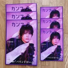 カンフェティ 『パリンドローム』