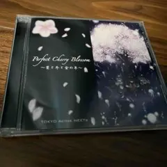 Perfect Cherry Blossom 東京アクティブNEETs
