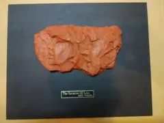 Item thumbnail for item 9b4f1ae9-fc3d-45a1-bf34-c106d60ff202