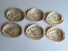 Item thumbnail for item 388d87b8-300b-4706-842b-9293019a5f9e