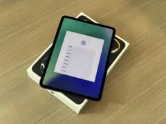 11インチ iPad Pro (M4) 256GB Wi-Fi MVV83J/A