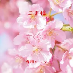 こま様 リクエスト 3点 まとめ商品