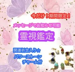 今だけ●霊視鑑定●　悩み一つ　鑑定書　天然石ストラップ1つ付き