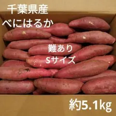 68 難あり 千葉県産　べにはるか　さつまいも　サツマイモ　Sサイズ　約5.1㎏