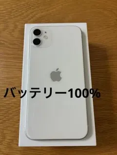 Item thumbnail for item 1223c5f0-27d1-4f71-80cb-62daac931f11