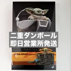 ホットトイズ グローグー TMS043 child 1/6 マンダロリアン - メルカリ