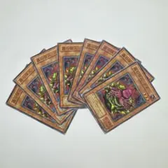 遊戯王　２期　ノーマル　セミコンプリート 2026年最新】遊戯王 2期 ノーマルの人気アイテム - メルカリ