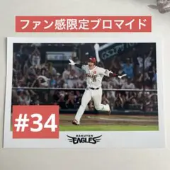 楽天イーグルス　伊藤裕季也　ファン感限定ブロマイド