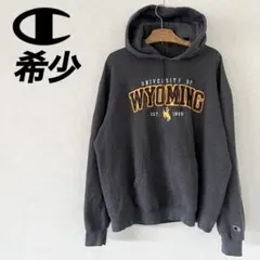 【vintage】Champion チャンピオン　カレッジパーカー　フーディーL