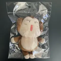 シン・エヴァンゲリオン劇場版：||ぬいぐるみキーチェーン アスカ