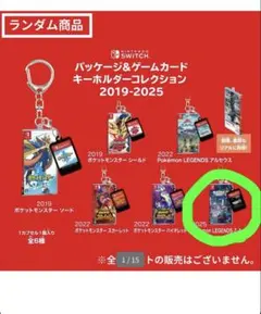 ス*屋様 ポケモン 30周年 パッケージ&カードリッジ キーホルダー
