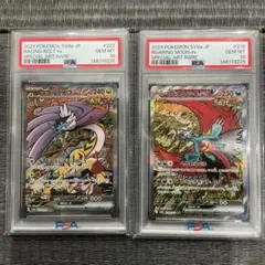 トドロクツキ、タケルライコSAR PSA10連番　テラスタルフェス