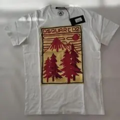 DSQUARED2 ディースクエアード Tシャツ