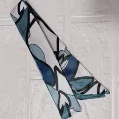 Item thumbnail for item 6ffe28eb-6d2e-4f63-964e-36c564e4d938