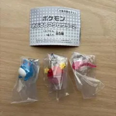 ポケモン　めじるしアクセサリー2