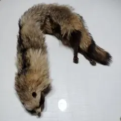 リアルファー 動物形状 マフラー