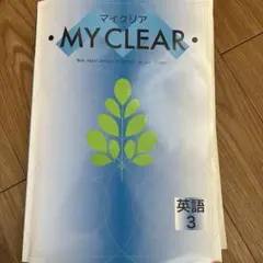 Item thumbnail for item 4fb78d2a-310c-470d-bc87-792a4481a6e0