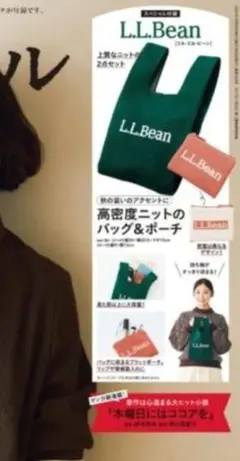 L.L.Bean ニット バッグ＆ポーチリンネル１１月号 付録