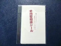 Item thumbnail for item dd307148-9dbe-42ee-8139-587f15dfd659