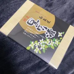 Item thumbnail for item 8a3a9ce8-845b-438f-97fc-822277211f68